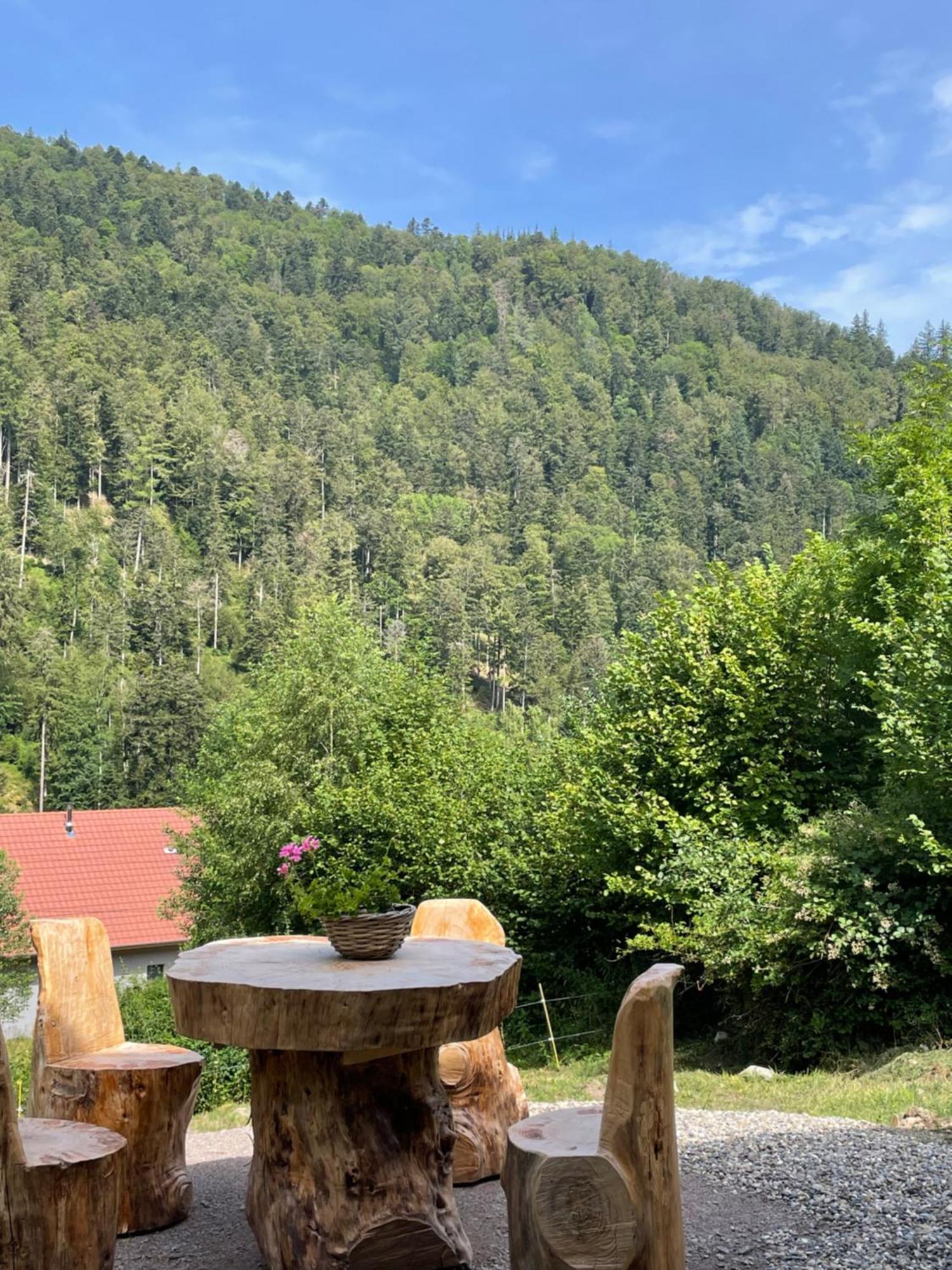 Le Chalet Du Coeur 米特拉克 外观 照片